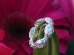 Hidden Heart Ladybug Leaves of Grass Eternity Ring
