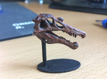 Spinosaurus Skull
