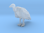 White-Backed Vulture 1:48 Standing 3