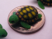 Concha: Little Turtle (1 piece) Thumbnail