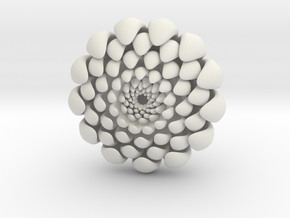 chrysanthemum -kiku- in White Natural Versatile Plastic