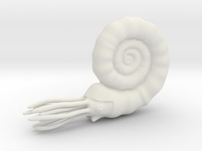 Ammonite in White Natural Versatile Plastic