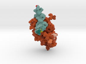 Exendin-4 in Complex with GLP-1 Receptor 3C5T in Full Color Sandstone