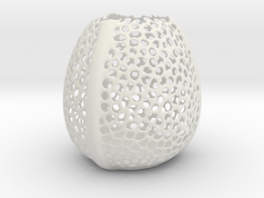 Voronoi vase in White Natural Versatile Plastic