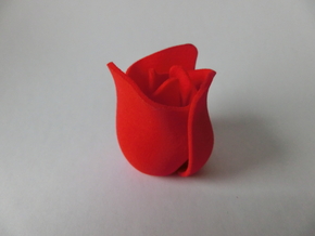 Rose in Red Processed Versatile Plastic