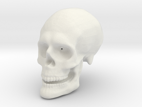 Skull Hollow in White Natural Versatile Plastic