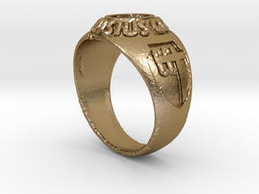Ring CC 87 Steel- Medium Quality  in Polished Gold Steel