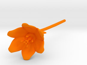 Lily Revised 03 in Orange Processed Versatile Plastic