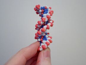 DNA molecule small in Full Color Sandstone
