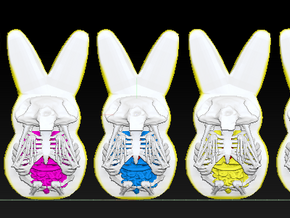 Peep Rabbit Collection in Full Color Sandstone