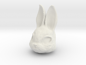 Rabbit Head in White Natural Versatile Plastic