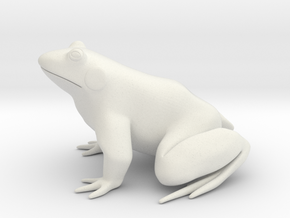 Frog, solid in White Natural Versatile Plastic