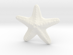 Starfish paperweight in White Processed Versatile Plastic