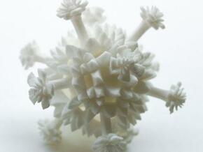 Cauli star in White Natural Versatile Plastic