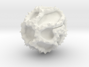 Taraxacum in White Natural Versatile Plastic