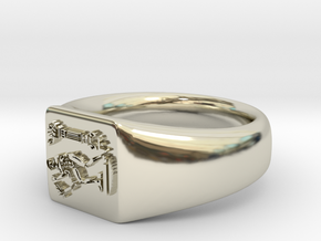 NTUA Male Ring in 14k White Gold