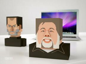 Steve Wozniak bust in Full Color Sandstone