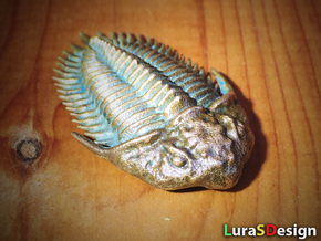 Trilobite Pendant in Natural Bronze