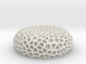 Coral Luminescent-Great Barrier Reef in White Natural Versatile Plastic