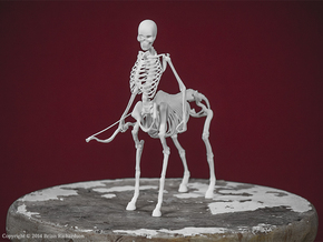 Centaur Skeleton in White Natural Versatile Plastic