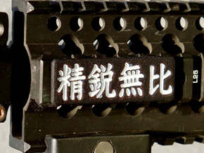 Rail_Badge_Seieimuhi in Black Premium Versatile Plastic