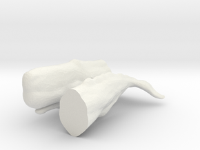 HO Scale Sperm Whale in White Natural Versatile Plastic