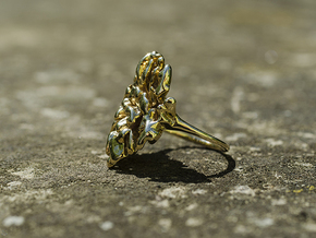 Coral Ring I   in Polished Brass