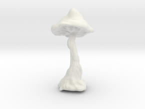 Mushroom in White Natural Versatile Plastic