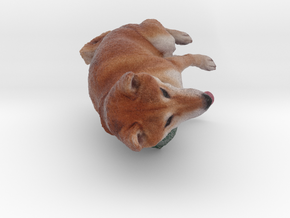 Shiba Inu Dog_6CM in Natural Full Color Sandstone