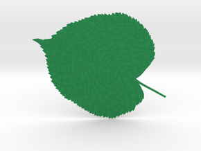 Tilia tree leaf (linden leaf) in Green Processed Versatile Plastic