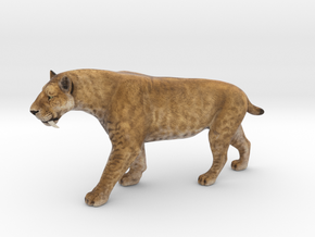 Smilodon Saber-Toothed Cat 1/12 Scale Model  in Natural Full Color Sandstone