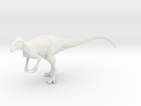 Megaraptor namunhuaiquii in White Natural Versatile Plastic