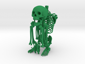 Mr Bones -- Articulated Skeleton in Green Processed Versatile Plastic