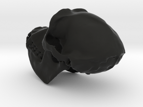 Chimpanzee skull 52mm in Black Natural Versatile Plastic