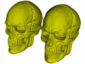 1/9 scale human skull miniatures x 2 in Tan Fine Detail Plastic