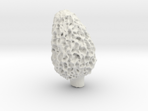 Morel Mushroom in White Natural Versatile Plastic