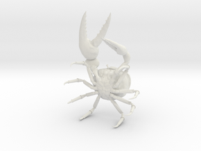 Fiddler Crab - Small in White Natural Versatile Plastic