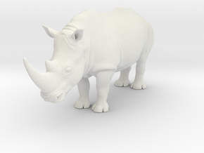 African White Rhinoceros (Scale 1:50) in White Natural Versatile Plastic