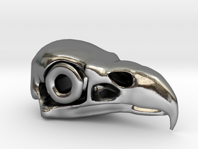 Eagle Skull in Polished Silver