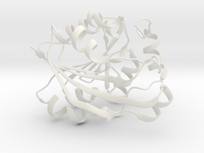 Thiopurine S-Methyltransferase Protein in White Natural Versatile Plastic