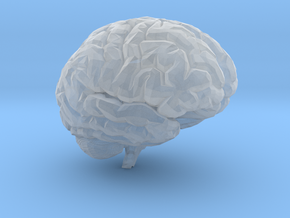 Brain 3D in Tan Fine Detail Plastic