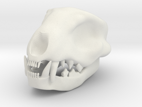 Cat Skull 4 Inch in White Natural Versatile Plastic