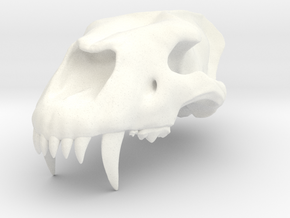 Homotherium skull, maxilla in White Processed Versatile Plastic