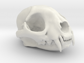 Cat skull - 45 mm in White Natural Versatile Plastic