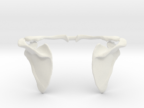 Shoulder Blade & Collar Bone "Winged" Pendant in White Natural Versatile Plastic