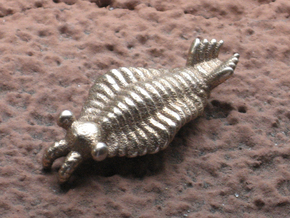 Anomalocaris in Polished Bronzed Silver Steel