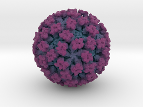 Feline Calicivirus radial colour 4M x mag in Full Color Sandstone