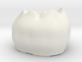 Tooth R3 Top in White Natural Versatile Plastic