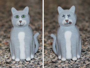 Schrödinger's Cat in Full Color Sandstone