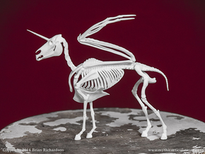 Alicorn Skeleton in White Natural Versatile Plastic